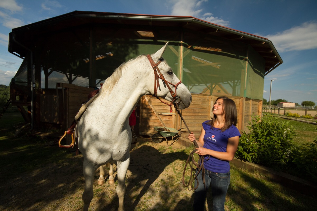 IMG_9807-e1416473922734